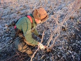 Champagne LECLERE-TORRENS - 