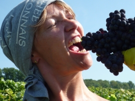 Champagne LECLERE-TORRENS - 